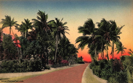What a Beautiful FloridaPast afternoon may have looked like, back then! 
